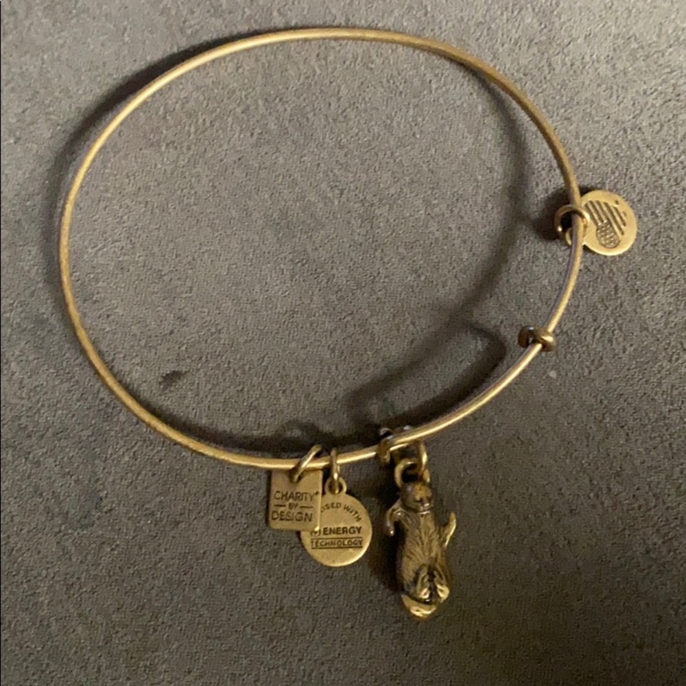 Gold Alex and Ani Bracelet